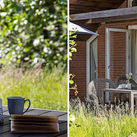 0326-romo-sandloberen-3 Molby