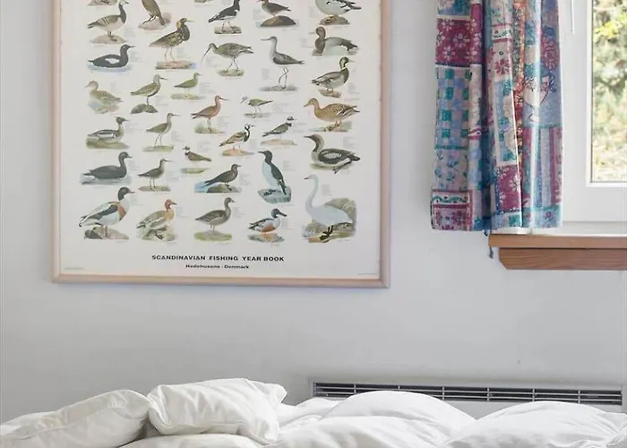 0326-romo-sandloberen-3 * Molby