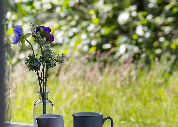 0326-romo-sandloberen-3 Molby